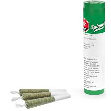 Spinach GREEN MONSTER BREATH Indica - PR3X0.5G